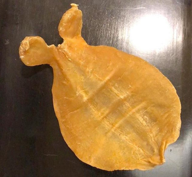 阳江赤嘴