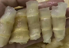 红鱼胶简单介绍概述，红鱼胶是什么